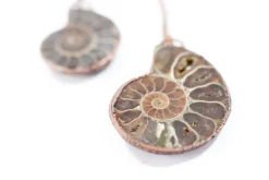 Ammonite fossil necklace | Fossil men's jewelry