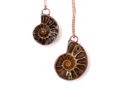Ammonite fossil necklace | Fossil men's jewelry