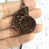 Ammonite fossil necklace | Fossil men's jewelry