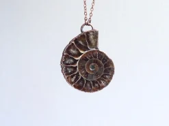 Ammonite fossil necklace | Fossil men's jewelry