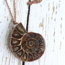 Ammonite fossil necklace | Fossil men's jewelry