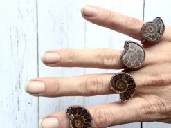 Ammonite fossil ring | Electroformed ring