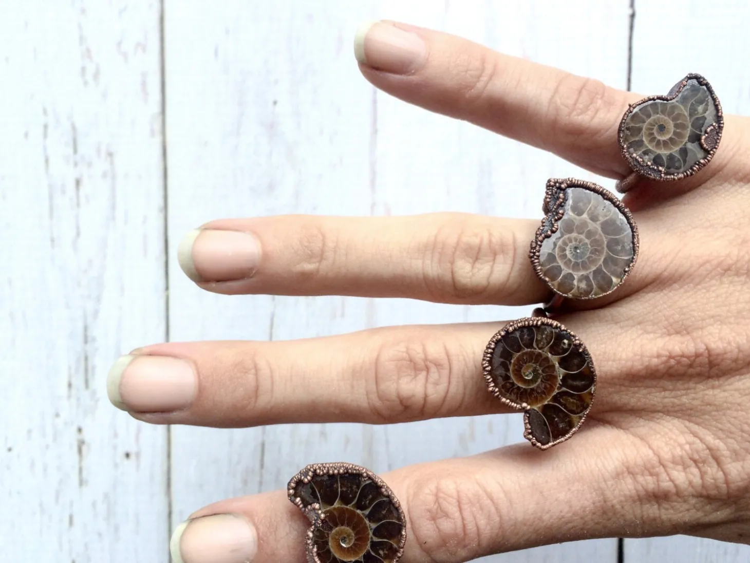 Ammonite fossil ring | Electroformed ring