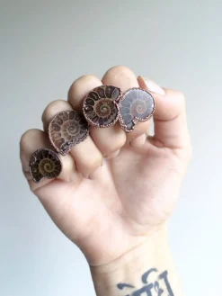 Ammonite fossil ring | Electroformed ring