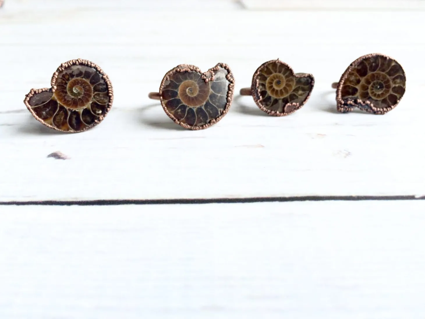 Ammonite fossil ring | Electroformed ring
