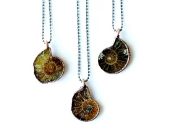 Ammonite necklace | Raw ammonite necklace