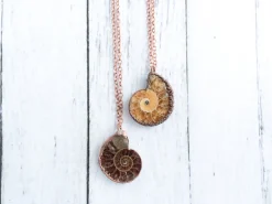 Madagasgar ammonite necklace | Raw ammonite necklace
