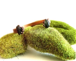 Moldavite Cuff | Genuine Moldavite Cuff
