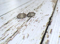 Raw crystal studs | Herkimer diamond antraxolite stud earrings