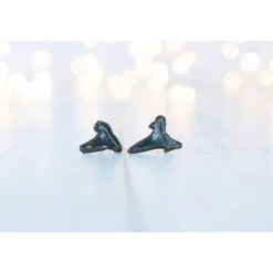 Shark tooth stud earrings | Shark tooth fossil earrings