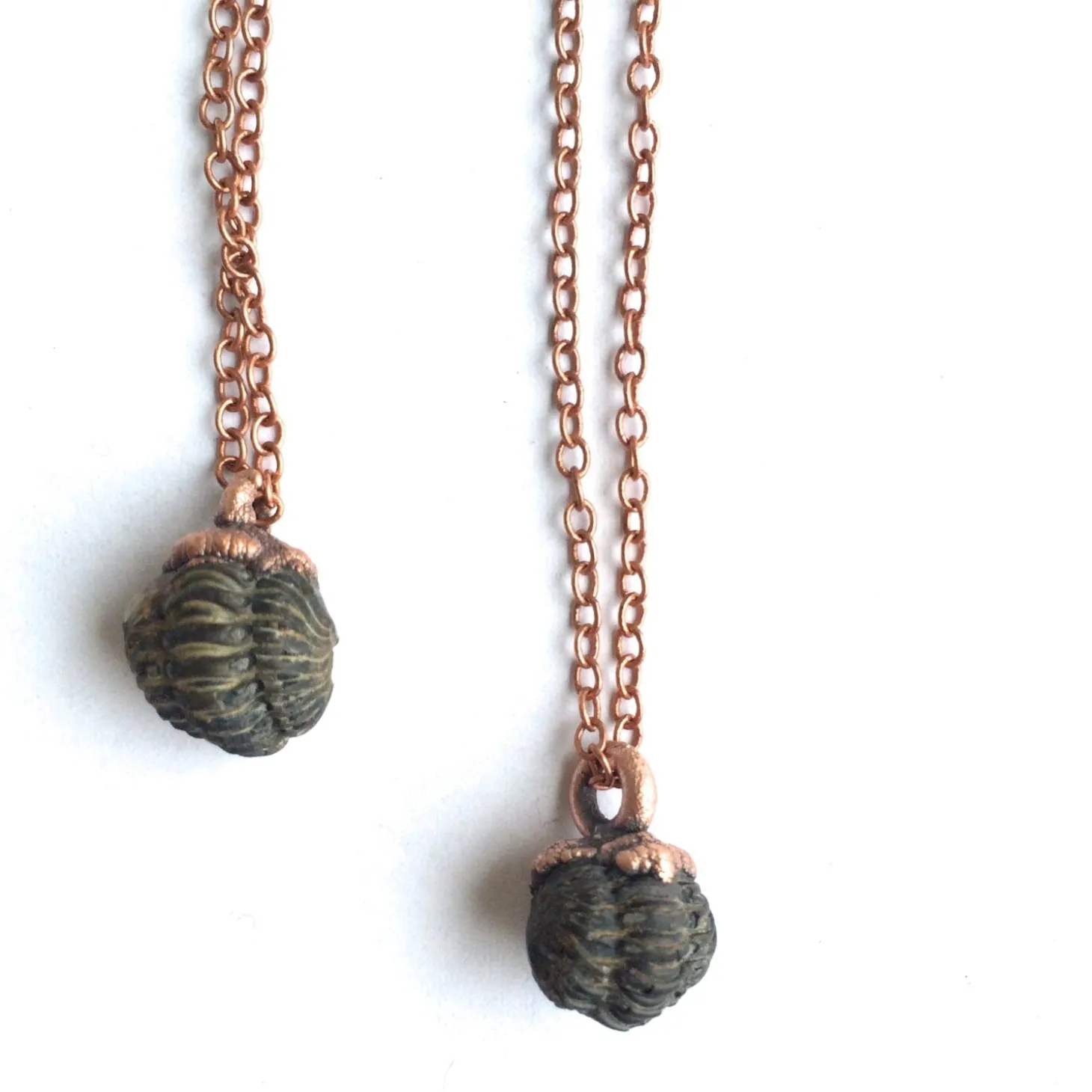 Trilobite fossil necklace | Raw fossil necklace