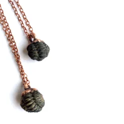 Trilobite fossil necklace | Raw fossil necklace